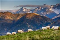 Entspannen und Genießen in einer einzigartigen Umgebung